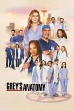 Nonton Serial Grey's Anatomy Full Episode Sub Indo