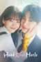 Nonton Serial Head Over Heels 2025 Full Episode Sub Indo
