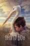 Nonton Film Storm Boy Full HD Sub Indo